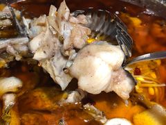 -雲蜀龙阁·金牌水煮鱼(方庄店)