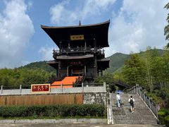 -大唐贡茶院