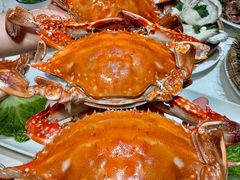 -郑庄脂渣海鲜楼(九水路店)