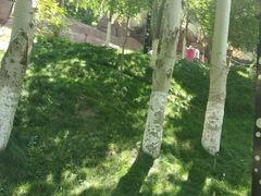 -水磨沟公园