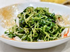 -曼格纳·曼芯馆(杨浦店)