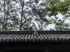 -千岛湖东南湖区