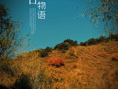 -日光山谷营地乐园
