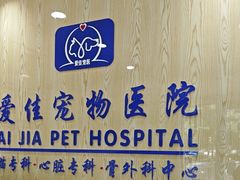 -爱佳宠物中心医院24H·CT·骨外科·猫专科(瑶海万达店)