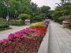 -睦南公园