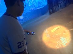 -精绝七日-新疆尼雅遗址数字大展【拉法耶文化艺术中心】