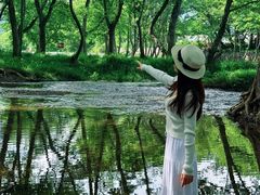 -西溪南古村落