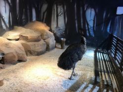 -酷嗒动物文化乐园(cutezoo西溪乐天城店)