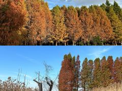 -捞渔河湿地公园