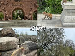 -海上云台山景区