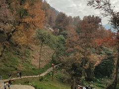 -广州市石门国家森林公园