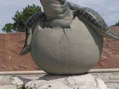 -广东惠东海龟国家级自然保护区