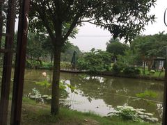 -洪湖家庭农场·团建·露营·会议