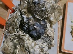 -蚝当家·海鲜龙虾烧烤(文二路原开蚝屋店)