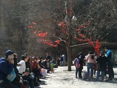 -狼牙山风景区