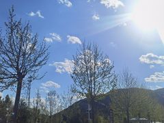 -王莽岭风景区