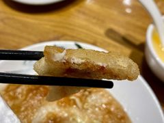 锅包肉-毛毛熏肉•东北菜老字号(大安街店)
