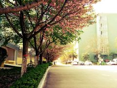 -西安培华学院长安校区大学生活动中心