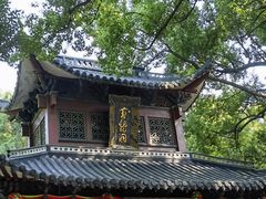 -杭州黄龙洞