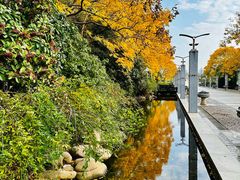 -上海科技馆(地铁站)