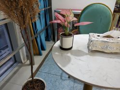 -痘院长·祛痘·皮肤管理