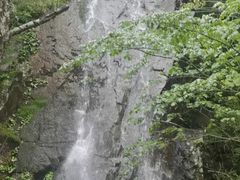 -本溪汤沟绿石谷森林公园