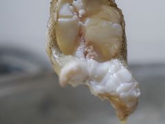 -凯华海鲜火锅·传承三十六年