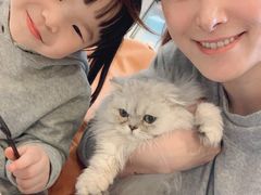 -飞行喵MR PILOT|猫舍·猫咖(静安大融城店)