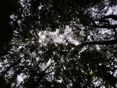 -乌山风景区