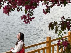 -长白岛森林公园