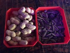 -好久不见网红乐队酒吧(鼓浪屿海底世界店)