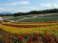 -富田农场