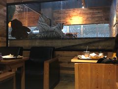 大堂-Who乎coffee&bar