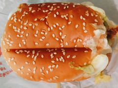 麦辣鸡腿汉堡-麦当劳(双榆树店)