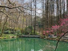 -杭州植物园