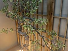 -遇暖·SPA养生按摩