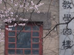 -山东大学(趵突泉校区)