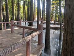-东湖落雁景区