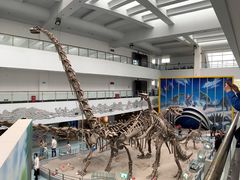 -中国地质大学逸夫博物馆