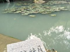 -石溪公园