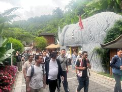 -野象谷景区