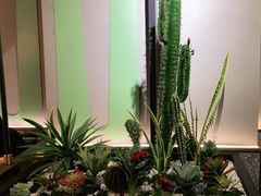 -淘蛙(潮州财富中心店)