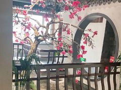 -天天鱼港·海鲜·鲅鱼水饺·招牌烤鸭(黄骅店)