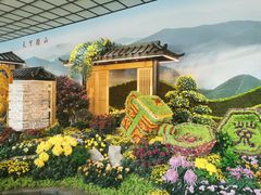-杭州植物园