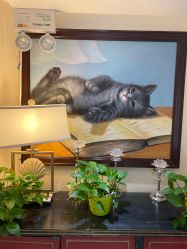 -咪咪比基尼脱毛专业店