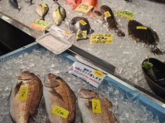 -南纪白浜Toretore市场