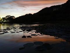 -广州凤凰城酒店-维也纳西餐厅