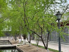 -春风习习