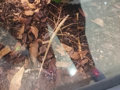 -上海昆虫博物馆