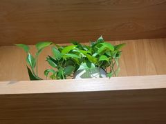 -石鼎香·非遗淮扬火锅(江都龙川桥店)
